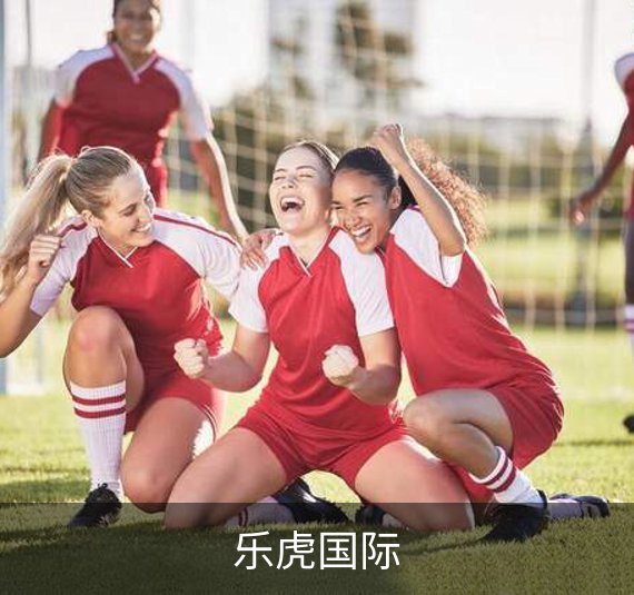了解乐虎国际